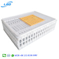 Best price new plastic pigeon transport cage